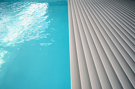 Plants: image 3 0f 4 thumb