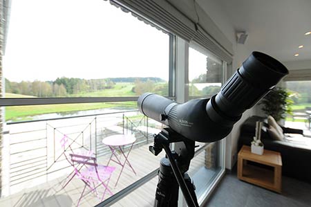 Plants: image 1 0f 4 thumb