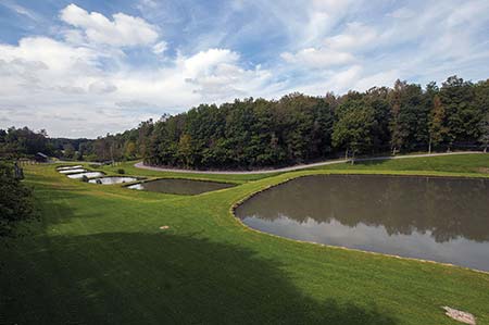 Plants: image 2 0f 4 thumb