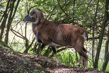 Plants: image 2 0f 4 thumb